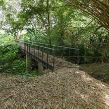 Dagma y CVC, en equipo para fortalecer dotaci&oacute;n de la oferta ambiental de Cali