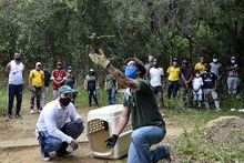 M&aacute;s de 8.000 cale&ntilde;os han aprovechado los programas de educaci&oacute;n ambiental del DAGMA