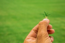 Alcald&iacute;a avanza de puro coraz&oacute;n con la construcci&oacute;n de Centro de Negocios en el Pascual Guerrero