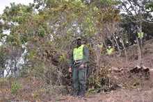 Graves devastaciones ambientales se encontraron durante visita a predios invadidos ilegalmente en Be