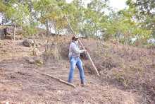 Graves devastaciones ambientales se encontraron durante visita a predios invadidos ilegalmente en Be