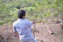 Graves devastaciones ambientales se encontraron durante visita a predios invadidos ilegalmente en Be