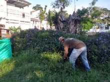 DAGMA interviene parque El Tri&aacute;ngulo en la comuna 19