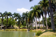 En febrero, el DAGMA tiene amplia programaci&oacute;n en el Mes de los Humedales, para todos