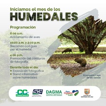 En febrero, el DAGMA tiene amplia programaci&oacute;n en el Mes de los Humedales, para todos