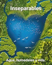 En febrero, el DAGMA tiene amplia programaci&oacute;n en el Mes de los Humedales, para todos