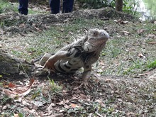 Ecoparque de las Garzas, un mundo abierto para grandes y chicos