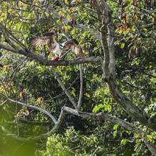 Ecoparque de las Garzas, un mundo abierto para grandes y chicos