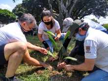 Recuperaci&oacute;n del Parque de El Ingenio adelantan la comunidad, operadores de aseo y el Dagma