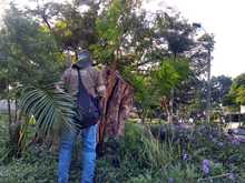 Recuperaci&oacute;n del Parque de El Ingenio adelantan la comunidad, operadores de aseo y el Dagma