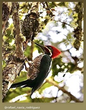 Concurso de fotograf&iacute;a promueve el amor por la naturaleza