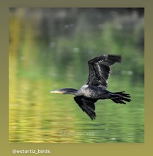 Concurso de fotograf&iacute;a promueve el amor por la naturaleza