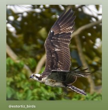 Concurso de fotograf&iacute;a promueve el amor por la naturaleza