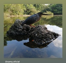 Concurso de fotograf&iacute;a promueve el amor por la naturaleza
