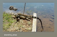 Concurso de fotograf&iacute;a promueve el amor por la naturaleza