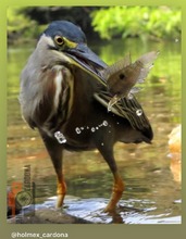 Concurso de fotograf&iacute;a promueve el amor por la naturaleza