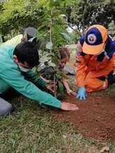 Jornada de embellecimiento ambiental en el Parque de El Ingenio cumpli&oacute; el Dagma
