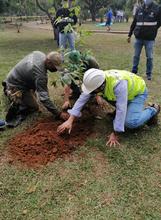 Jornada de embellecimiento ambiental en el Parque de El Ingenio cumpli&oacute; el Dagma