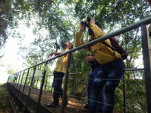 Los ni&ntilde;os protagonistas en el avistamiento de aves del Humedal Ca&ntilde;asgordas