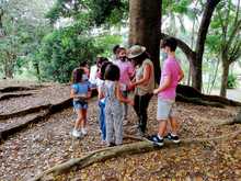 Visitantes del parque la Babilla disfrutan con acciones para el cuidado y conservaci&oacute;n de los humedales
