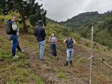 Infraestructura monitorea la compensaci&oacute;n arb&oacute;rea de las &lsquo;Obras del Sur&rsquo;
