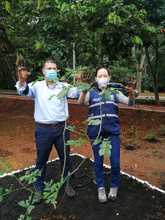 M&aacute;s corredores ambientales para la cale&ntilde;idad