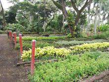 De puro coraz&oacute;n Cali celebra el D&iacute;a Internacional del Control Biol&oacute;gico