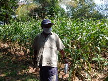 De puro coraz&oacute;n Cali celebra el D&iacute;a Internacional del Control Biol&oacute;gico