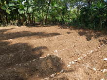 De puro coraz&oacute;n Cali celebra el D&iacute;a Internacional del Control Biol&oacute;gico