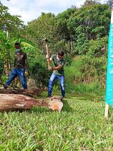 El Dagma y la comunidad dieron un nuevo aire al humedal El Limonar