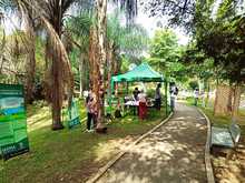 El Dagma y la comunidad dieron un nuevo aire al humedal El Limonar