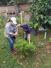 Huerta en casa, una alternativa de agricultura Urbana