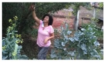 Huerta en casa, una alternativa de agricultura Urbana