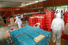 M&aacute;s de 57 000 estudiantes recibieron su alimentaci&oacute;n escolar 