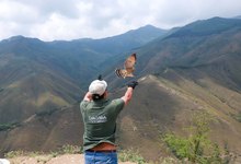 En 24 horas Dagma rescat&oacute; y liber&oacute; una osa melera
