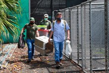 En 24 horas Dagma rescat&oacute; y liber&oacute; una osa melera