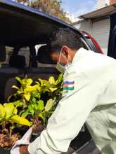 Vivero Distrital siembra vida con puro coraz&oacute;n