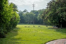 El Club Puente Palma, de la Comuna 17, renacer&aacute; como el &lsquo;ave Fenix&rsquo;