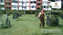 La atenci&oacute;n a las zonas verdes de Cali se realiza durante todo el a&ntilde;o