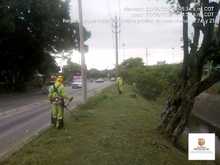 La atenci&oacute;n a las zonas verdes de Cali se realiza durante todo el a&ntilde;o