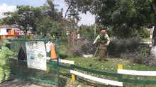 La atenci&oacute;n a las zonas verdes de Cali se realiza durante todo el a&ntilde;o