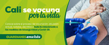 BannerHome_Micrositio