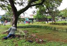 Embellecimiento de jardines con puro coraz&oacute;n