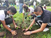 En nuestra amada Cali se siembra vida con &lsquo;Puro Coraz&oacute;n&rsquo;