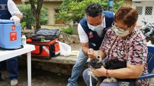 La vacunaci&oacute;n para mascotas llega con jornadas masivas en los barrios