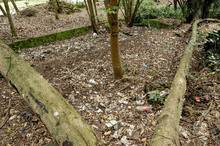 Centro de Bienestar Animal: una relaci&oacute;n de amor con nuestra fauna dom&eacute;stica