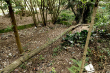 Centro de Bienestar Animal: una relaci&oacute;n de amor con nuestra fauna dom&eacute;stica