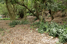 Centro de Bienestar Animal: una relaci&oacute;n de amor con nuestra fauna dom&eacute;stica