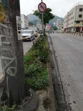 Recuperaci&oacute;n paisaj&iacute;stica de la amada Cali