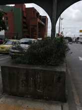 Recuperaci&oacute;n paisaj&iacute;stica de la amada Cali